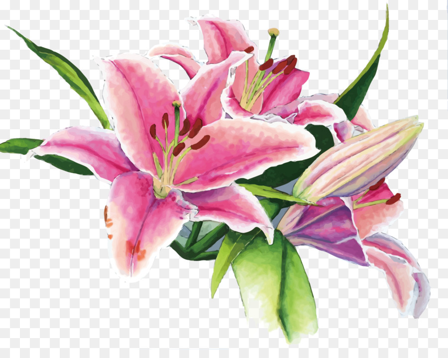 900x720 Floral Design Lilium Watercolor Painting - Watercolor Stargazer Lily