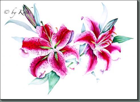 Watercolor Stargazer Lily at PaintingValley.com | Explore collection of ...