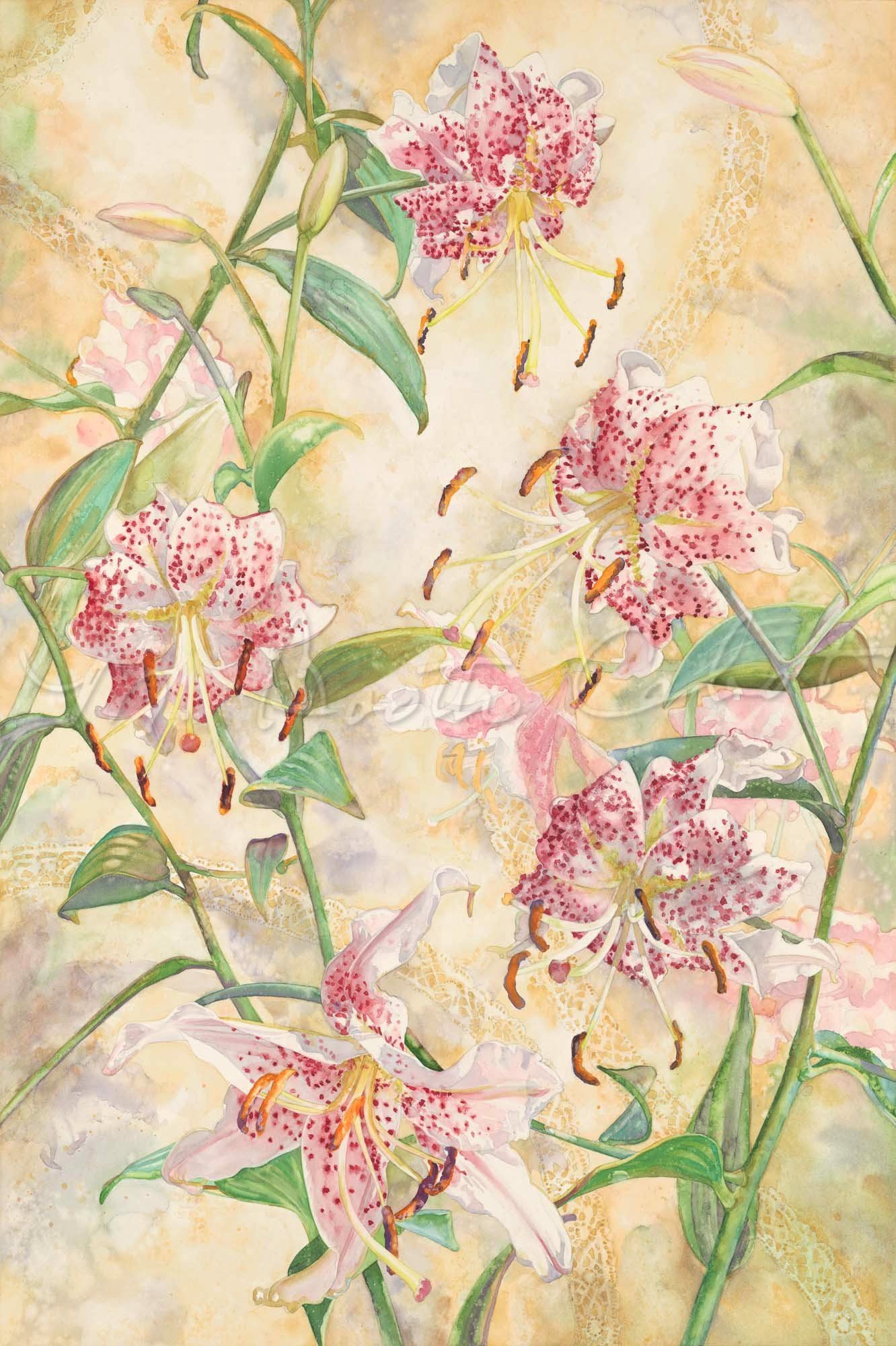 1332x2000 Lily - Watercolor Stargazer Lily