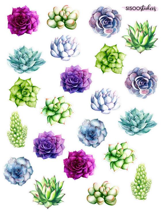 570x738 Up Your Plannerscrapbooking Game With These Succulent Watercolor - Watercolor Stickers