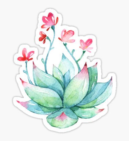 420x460 Succulent Sticker Imprimibles Watercolor, Bullet - Watercolor Stickers