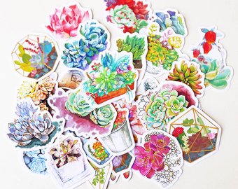 340x270 Cactus Vinyl Sticker Etsy - Watercolor Stickers