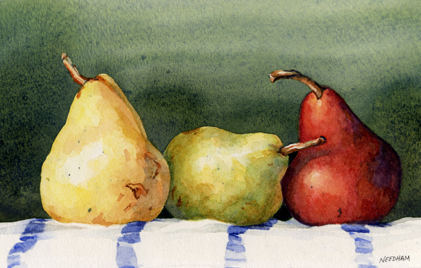 596x380 Pears Three - Watercolor Still Life