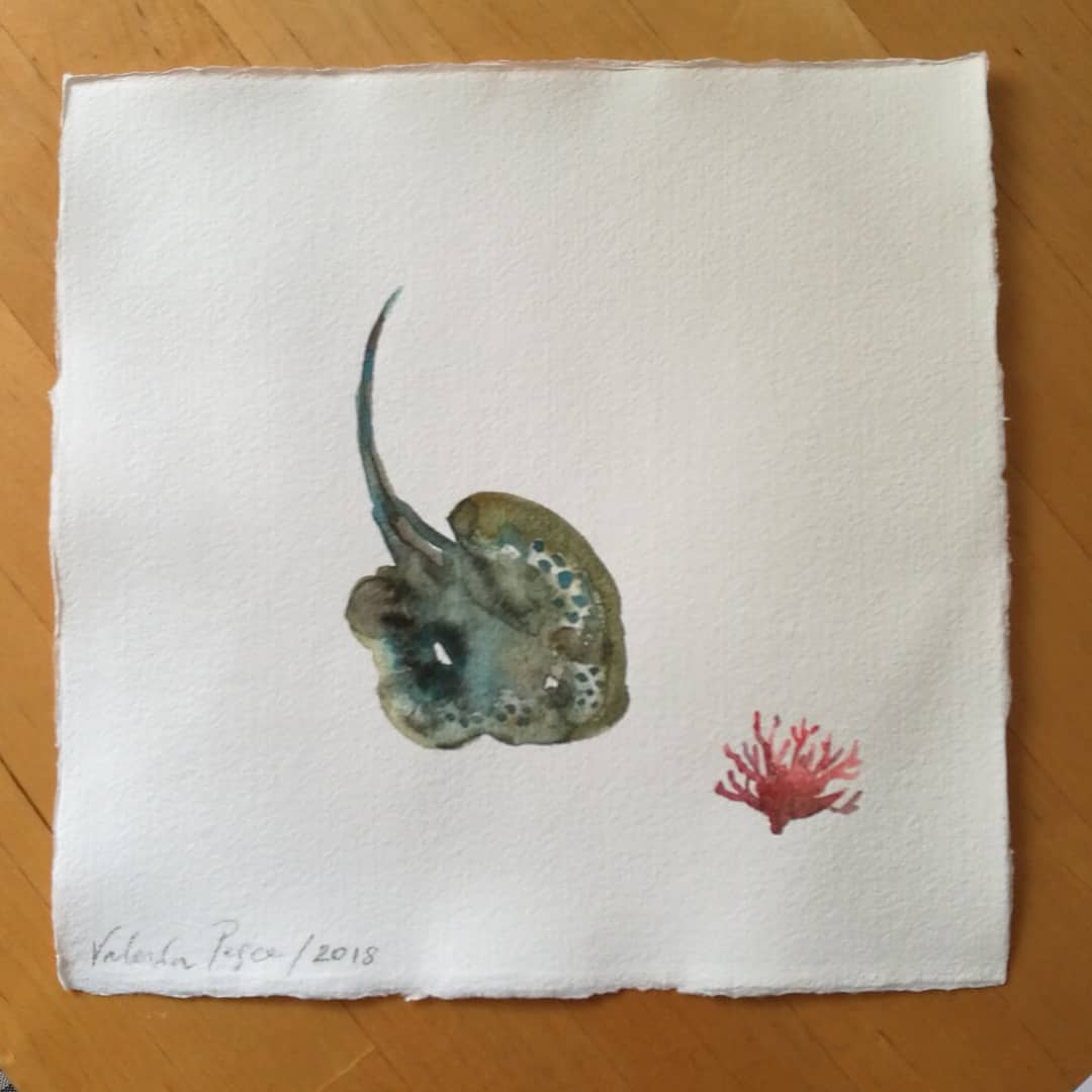 1080x1080 Instagram Photos And Videos Tagged - Watercolor Stingray