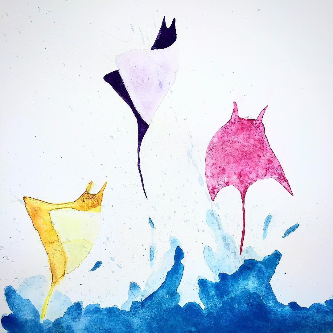 1080x1080 Instagram Photos And Videos Tagged - Watercolor Stingray