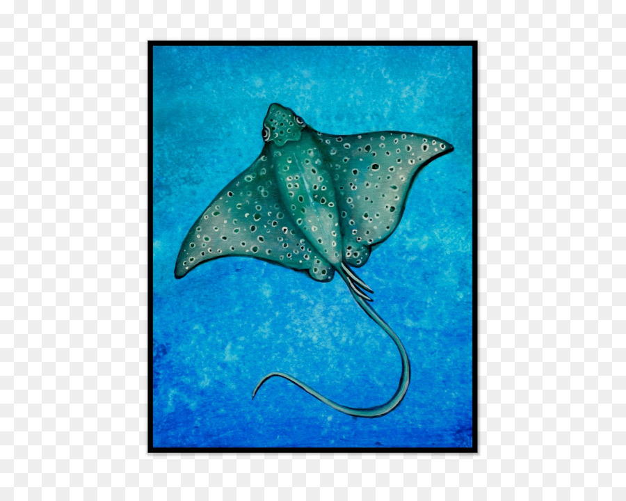 900x720 Myliobatoidei Aquatic Animal Marine Mammal Watercolor Painting - Watercolor Stingray