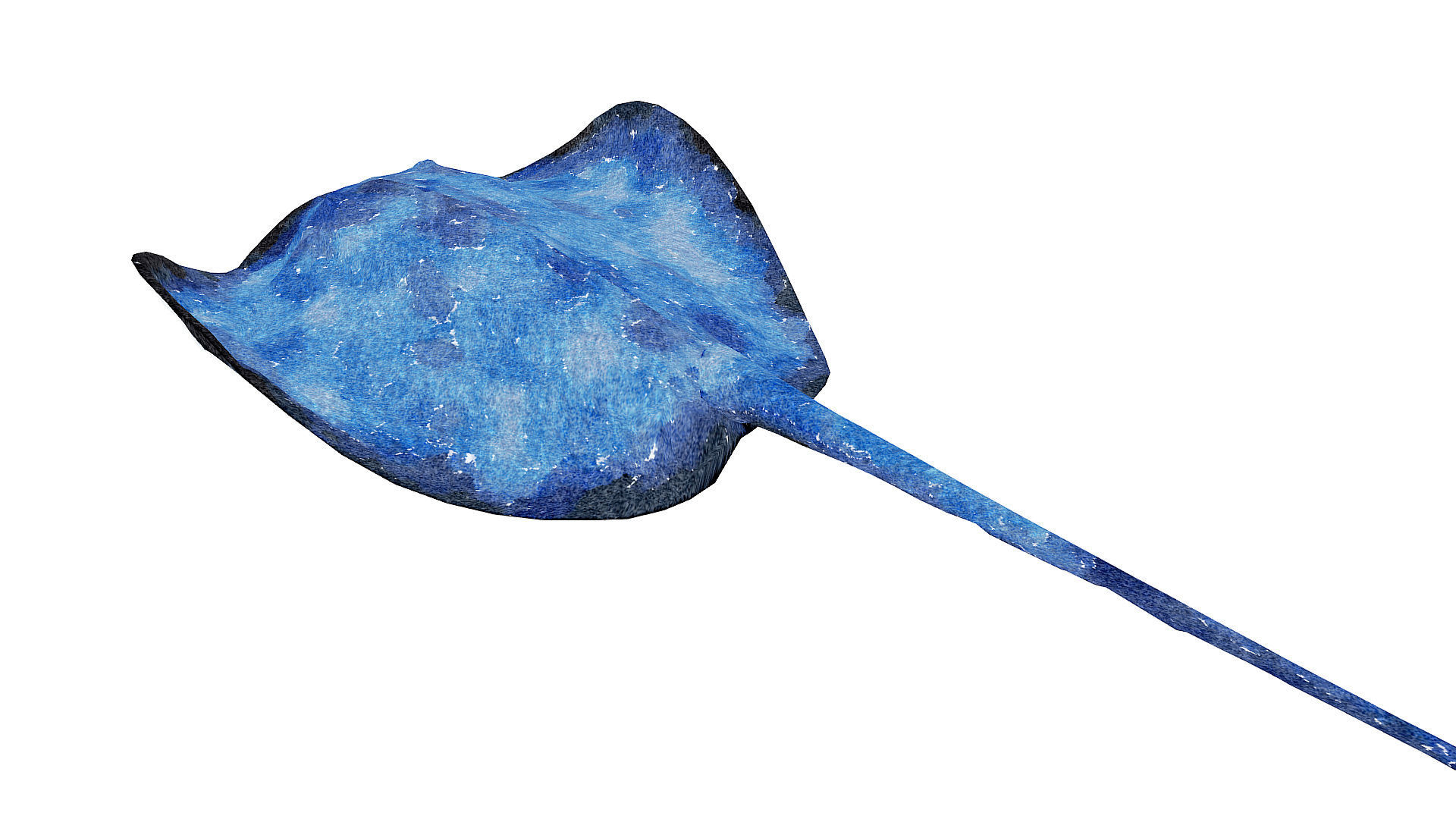 1920x1080 3d Asset Low Poly Stingray 2 Illustration Animated - Watercolor Stingray