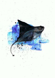 236x332 40 Best Tattoo Images In 2018 Blankets, Manta Ray - Watercolor Stingray