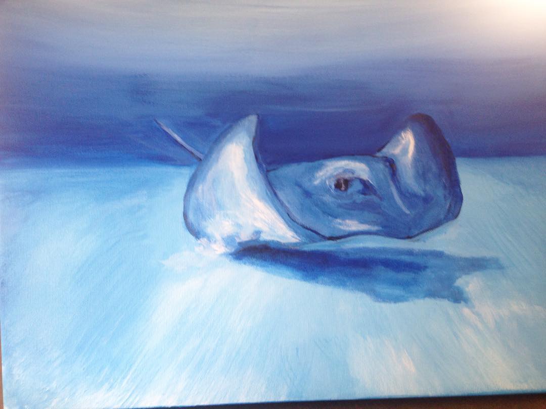 1080x810 Stingraypainting - Watercolor Stingray