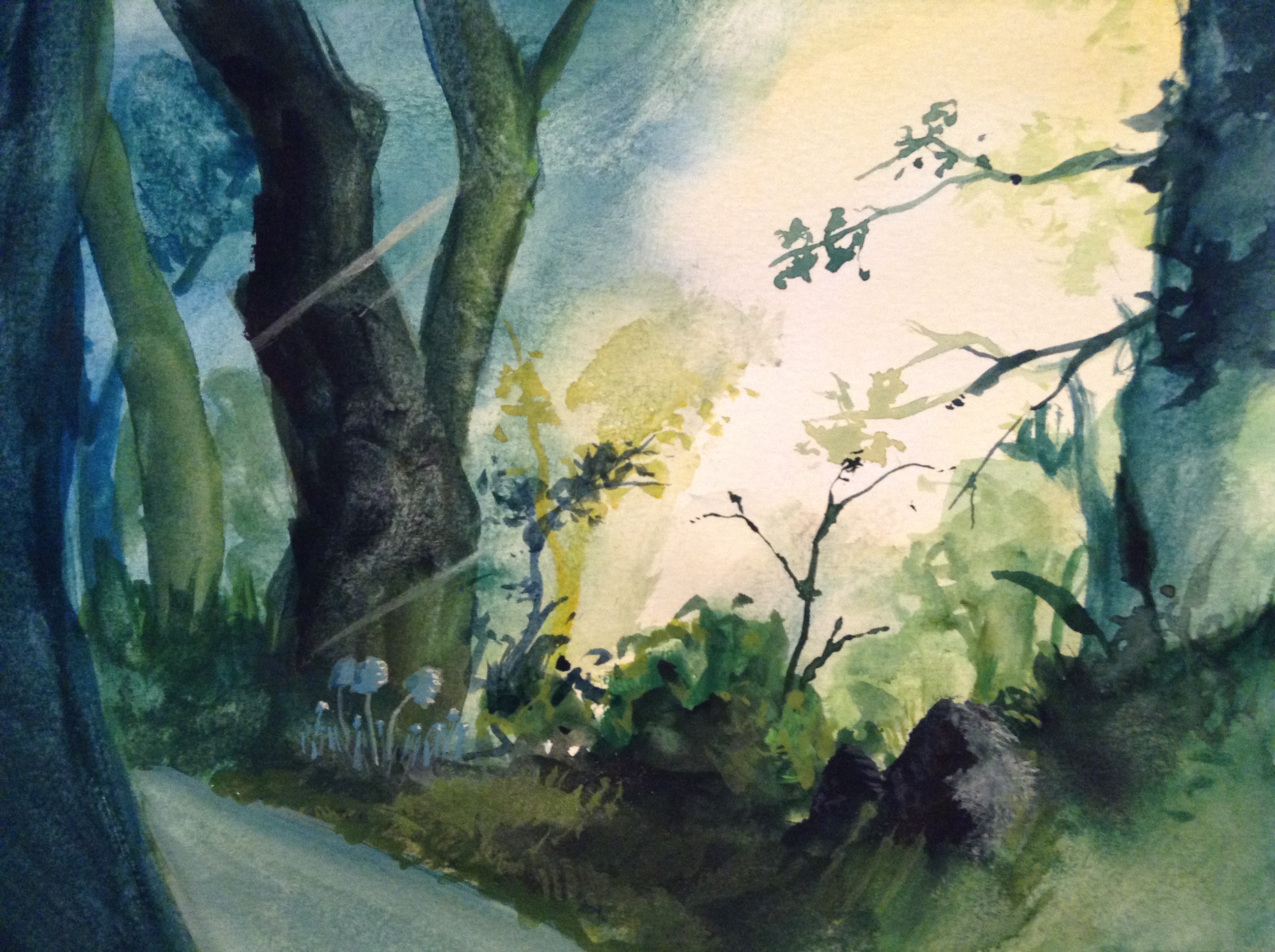 2592x1936 Wanting To Get Serious About Watercolor Because I Really Like - Watercolor Studio Ghibli