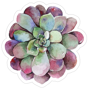 300x300 Red Watercolor Succulent Sticker - Watercolor Succulent