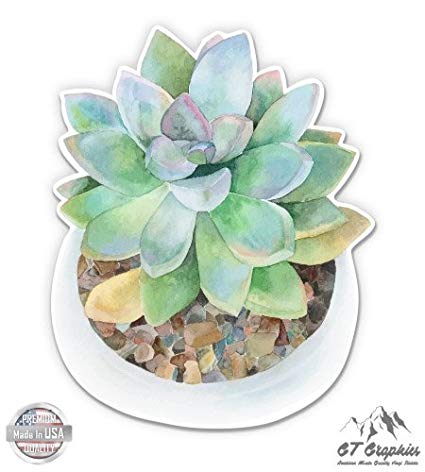 425x472 Watercolor Succulent In Pot - Watercolor Succulent