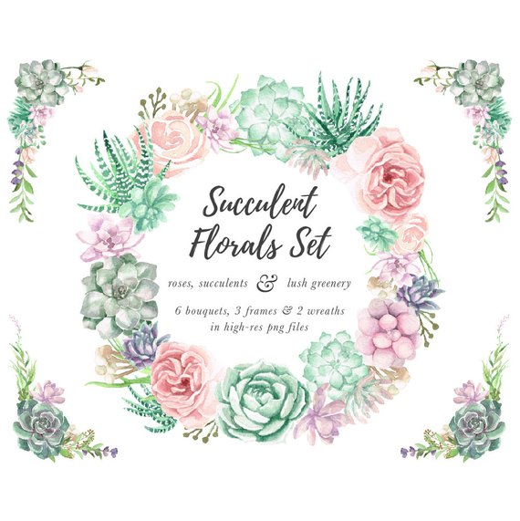 570x571 Watercolor Succulent Clipart Watercolor Flowers Watercolor Etsy - Watercolor Succulent