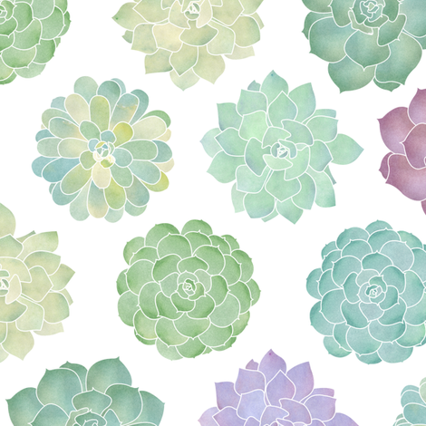 470x470 Watercolor Succulent Garden Wallpaper - Watercolor Succulent