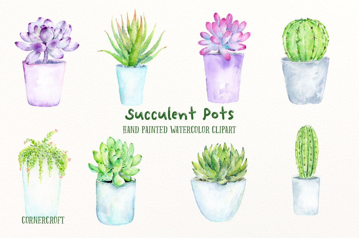 1159x771 Watercolor Succulent Pots By Cornercroft - Watercolor Succulent