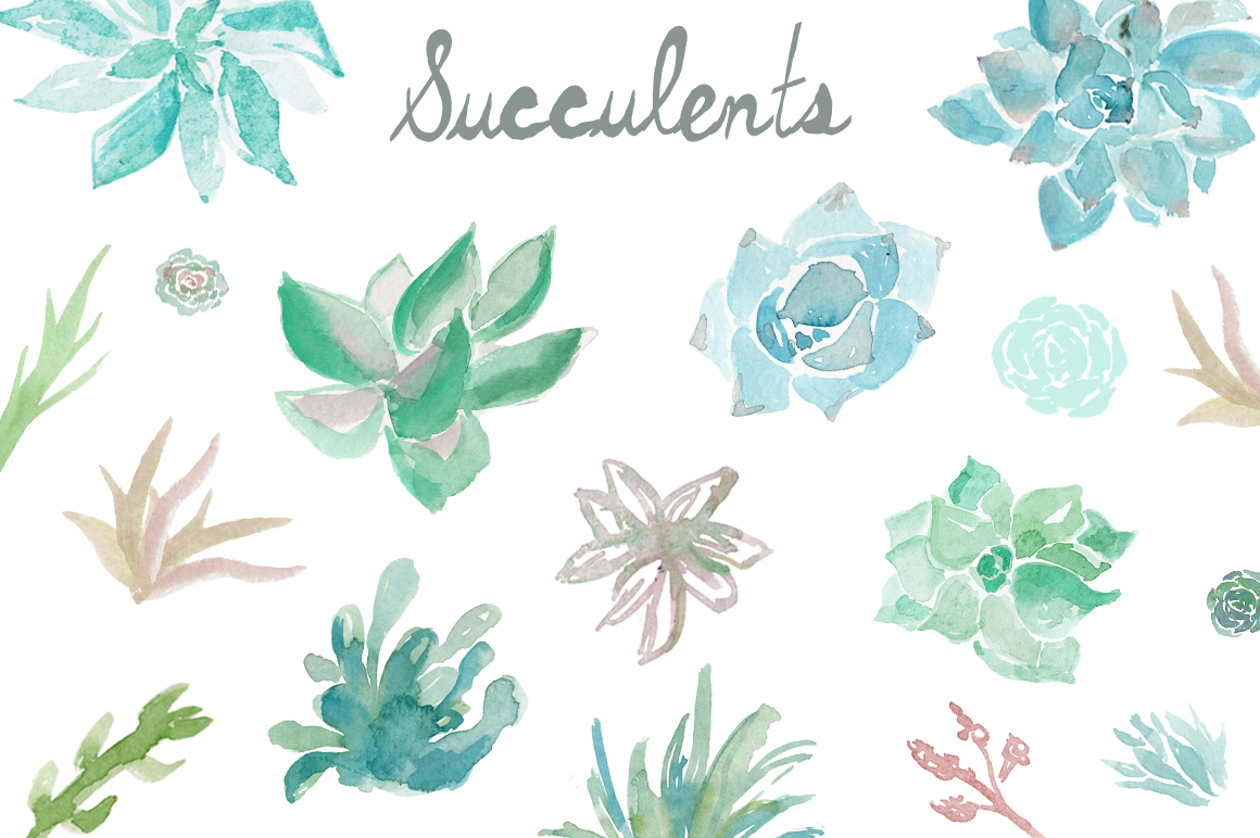 1160x772 Watercolor Succulents Clip Art - Watercolor Succulent