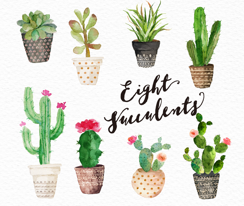970x818 Watercolor Succulent Clip Art Collection On Behance - Watercolor Succulent