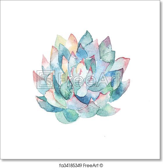 561x581 Free Art Print Of Watercolor Succulent. Hand Painted Watercolor - Watercolor Succulent