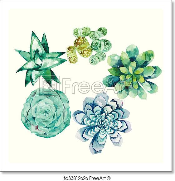 561x581 Free Art Print Of Watercolor Succulent Collection. Watercolor - Watercolor Succulent Background