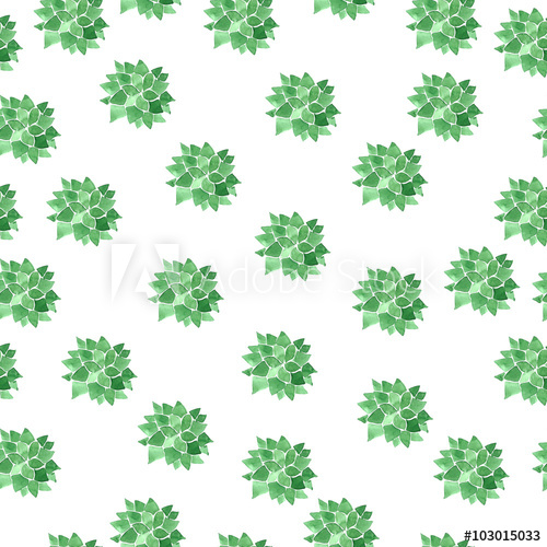 500x500 Hand Drawn Watercolor Succulent Seamless Pattern. Botanical - Watercolor Succulent Background