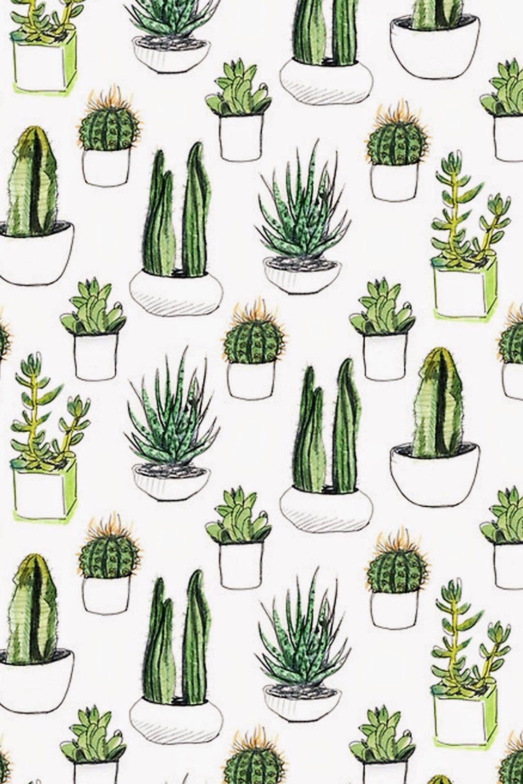 1067x1600 Collection Of Succulent Drawing Background High Quality - Watercolor Succulent Background