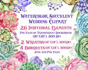 340x270 Watercolor Succulent Etsy - Watercolor Succulent Background