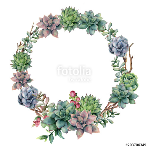 500x500 Watercolor Succulent And Berries Wreath. Hand Painted Succulent - Watercolor Succulent Background