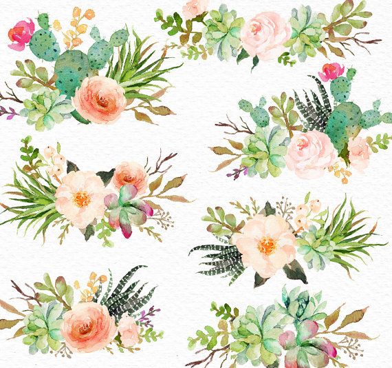 Watercolor Succulent Background At Paintingvalley.com 