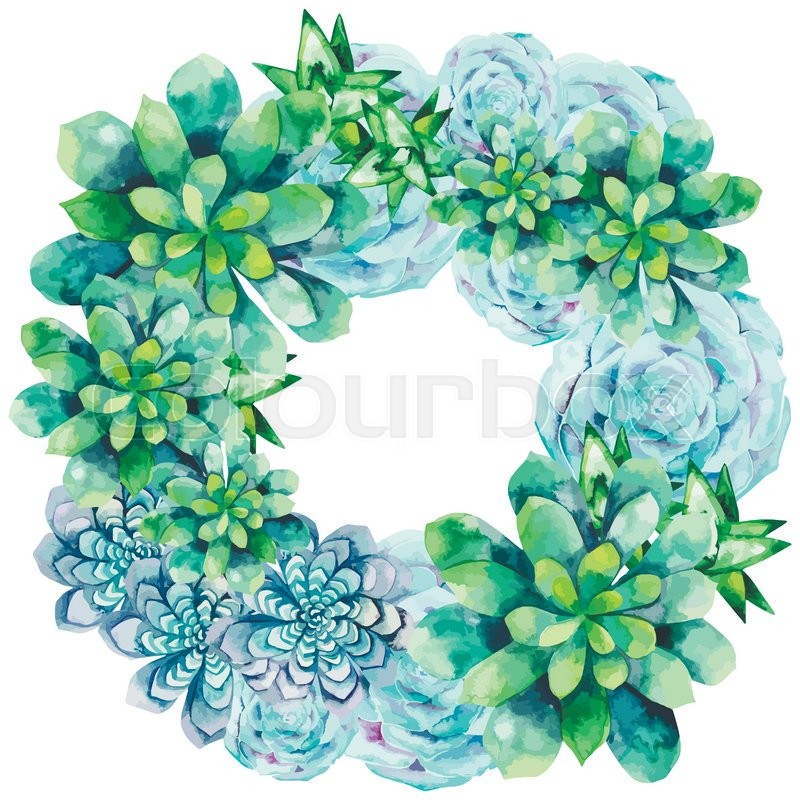 800x800 Watercolor Succulent Wreath Isolated On White Background. Cute - Watercolor Succulent Background