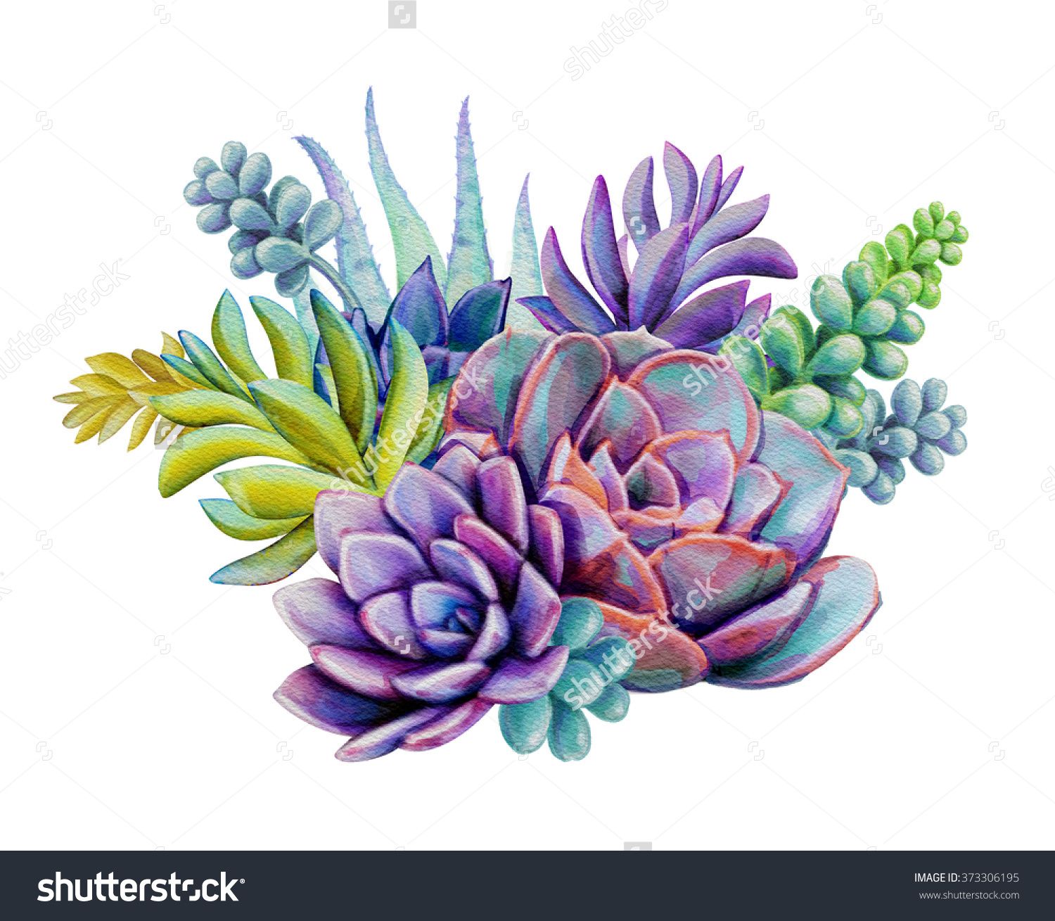 1500x1309 Watercolor Succulent Plants Composition, Floral Bouquet - Watercolor Succulent Background
