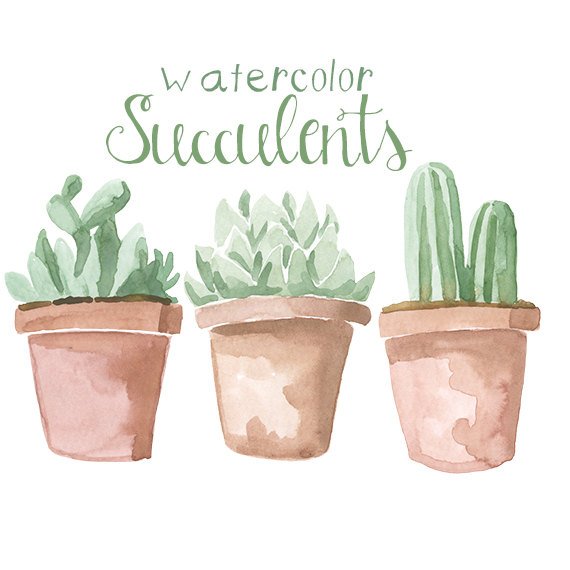 570x570 Watercolor Succulents Clip Art Clipart Succulent Clipart Etsy - Watercolor Succulent Clipart