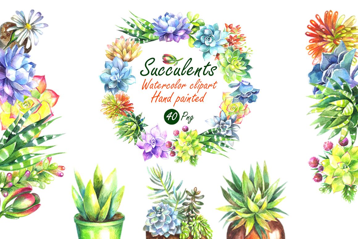 1160x773 Watercolor Succulents Clip Art Set - Watercolor Succulent Clipart