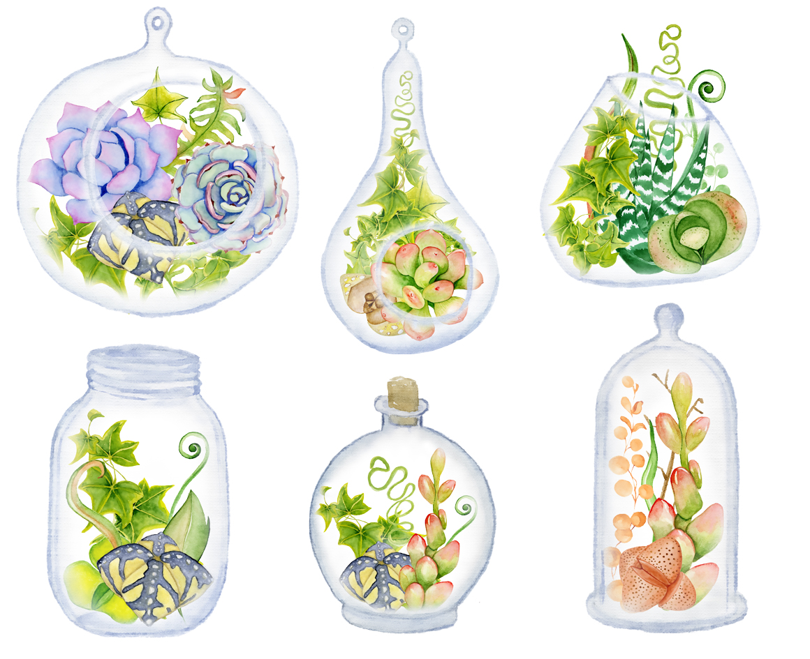 1160x945 Watercolor Succulents And Cactus Glass Terrariums Creator. Cactus - Watercolor Succulent Clipart