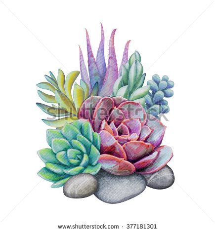 435x470 15 Succulent Clipart Floral Decoration For Free Download On - Watercolor Succulent Clipart