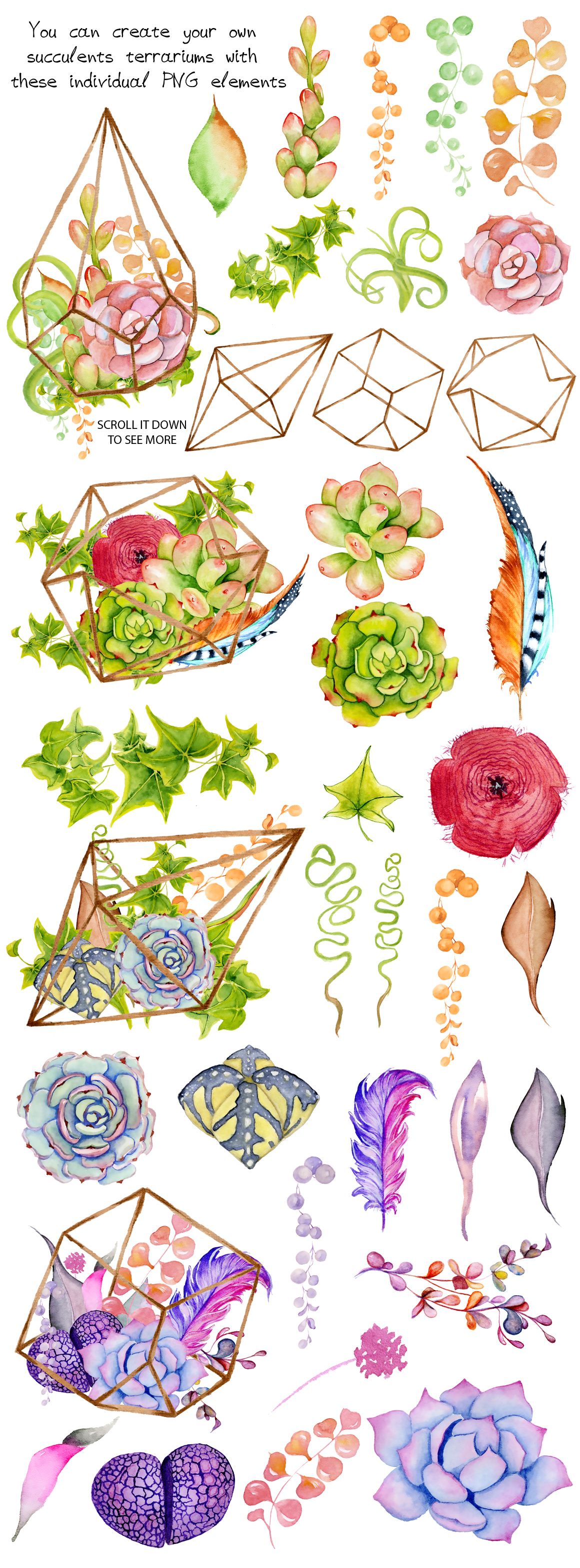 1160x3133 Watercolor Succulents And Cactus Terrariums. Cactus Clipart. Hand - Watercolor Succulent Clipart