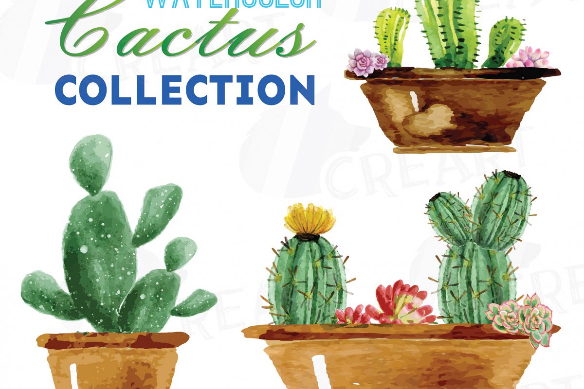 1200x800 Watercolor Cactus And Watercolor Succulent Clipart Pack, Green - Watercolor Succulent Clipart