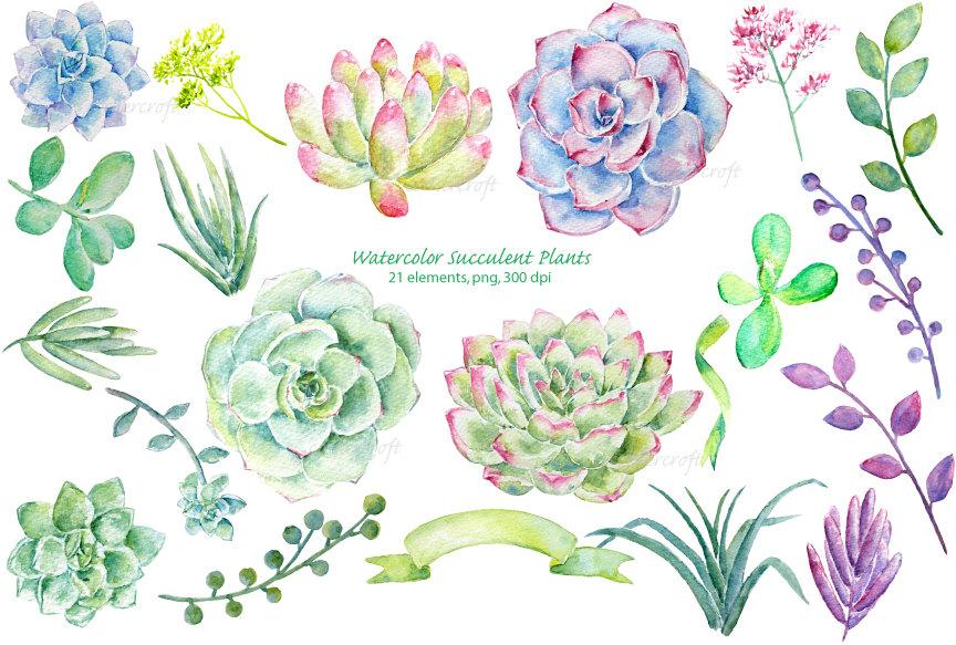 Watercolor Succulent Clipart at PaintingValley.com | Explore collection ...