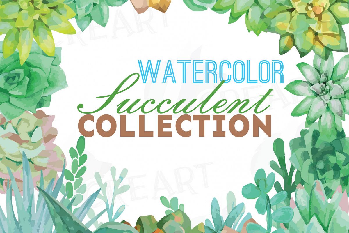 1200x800 Watercolor Succulent Clip Art Pack, Green Succulents Collection - Watercolor Succulent Clipart