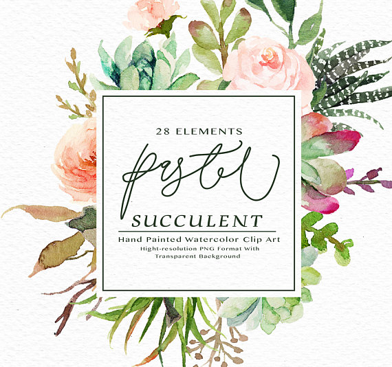570x534 Watercolor Succulent Clip Art Pastel Succulent Elementsrustic - Watercolor Succulent Clipart