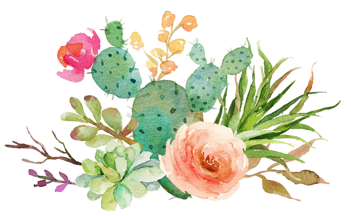 700x432 19 Succulent Banner Royalty Free Download Wedding Invite Huge - Watercolor Succulent Clipart