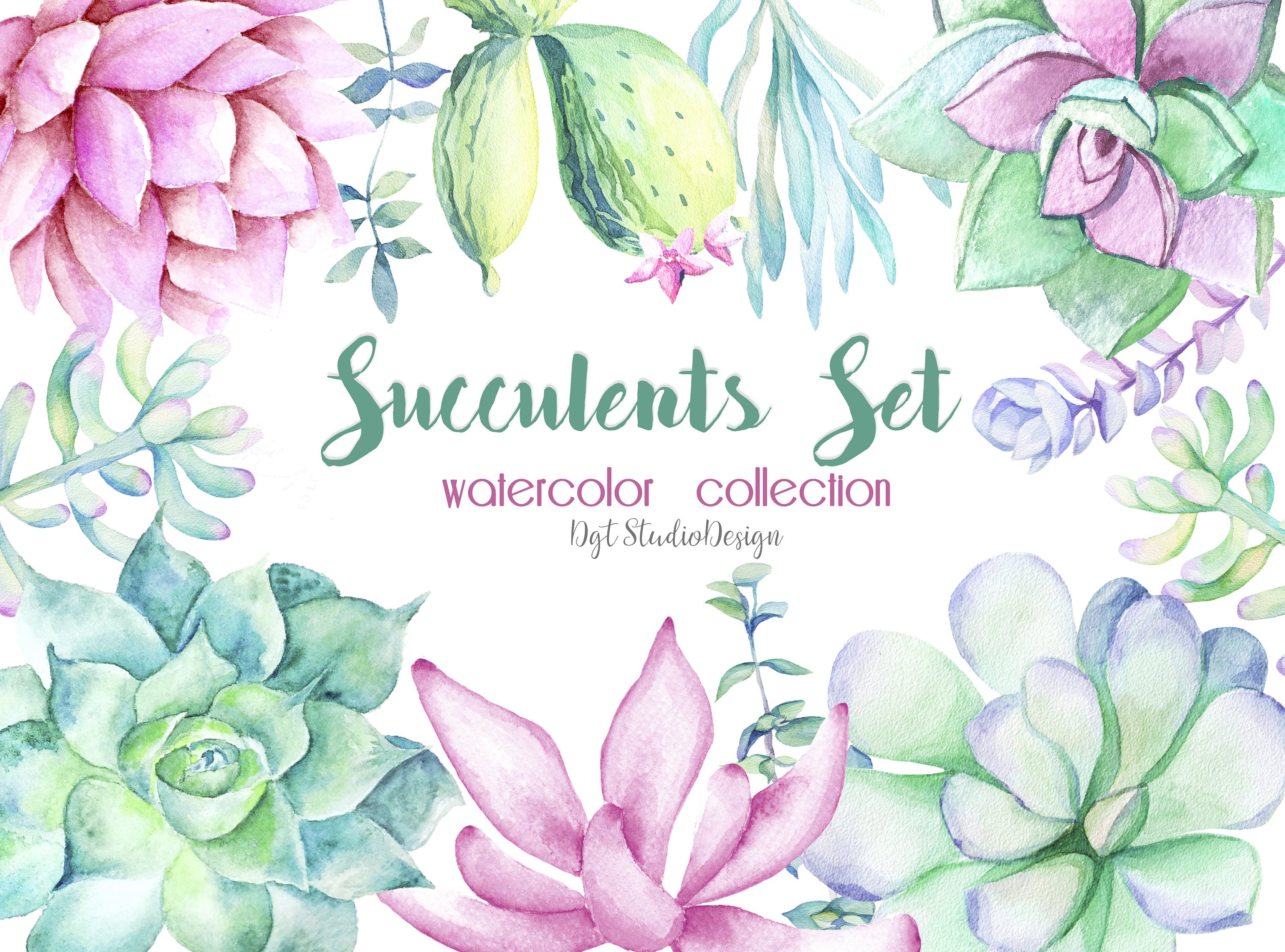 3000x2223 Watercolor Succulent Clipart Cactus Elements Separate Lilac Etsy - Watercolor Succulent Clipart