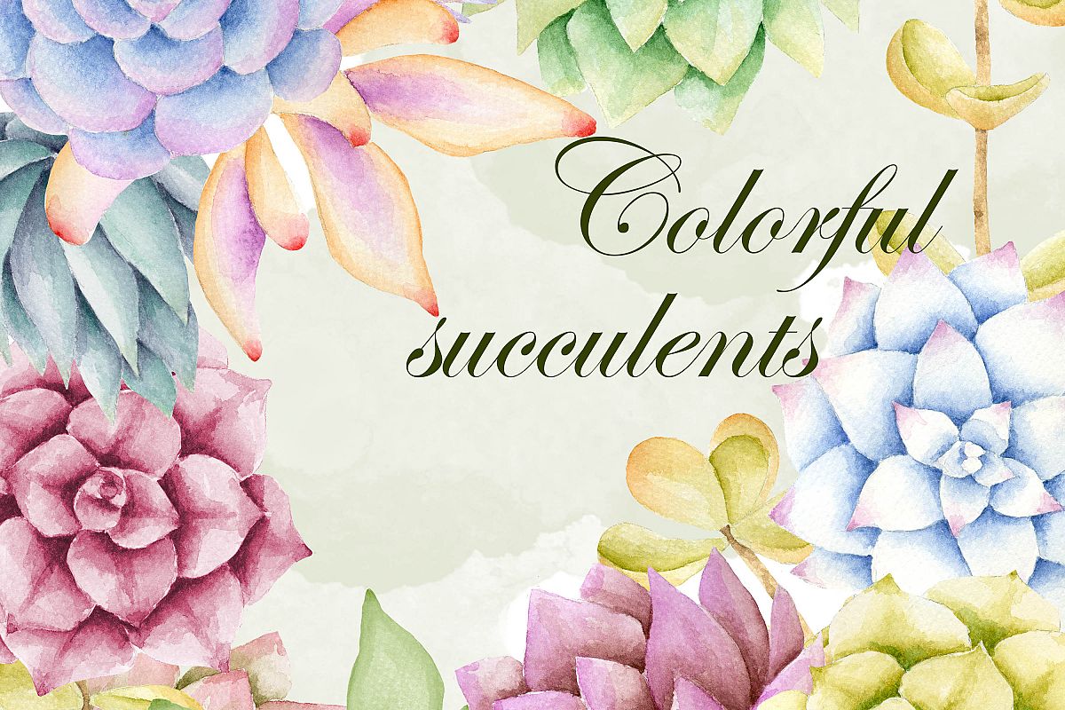 1200x800 Watercolor Succulent Clipart - Watercolor Succulent Clipart