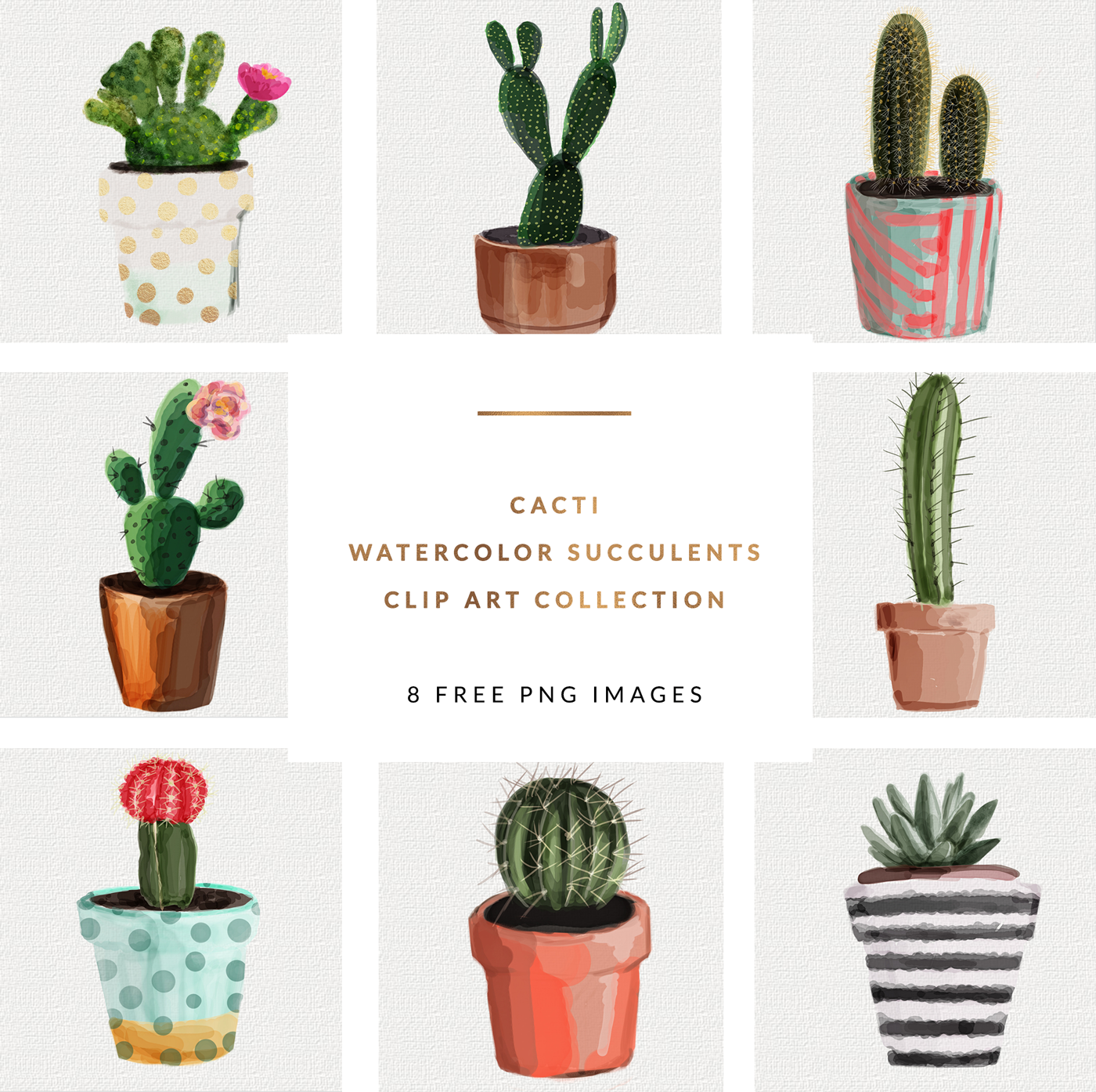 1400x1394 Freebies Watercolor Succulents Cactus Clip Art Collection 8 - Watercolor Succulent Clipart