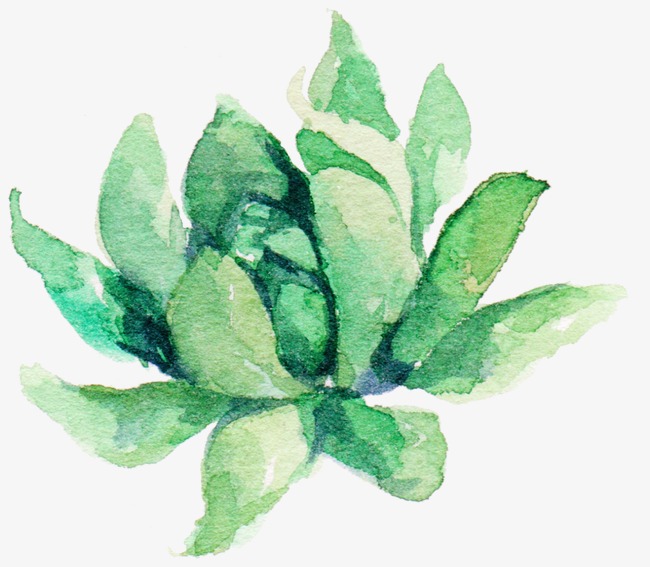 650x567 Fresh Watercolor Succulents, Watercolor Clipart, Fresh Watercolor - Watercolor Succulent Clipart