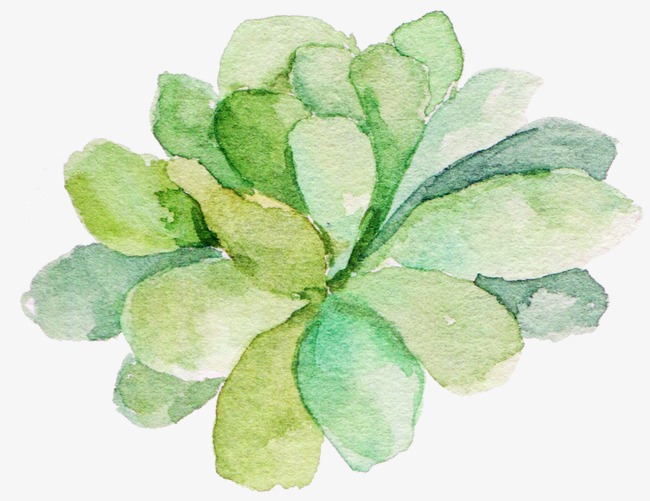 650x501 Green Watercolor Succulents, Watercolor Clipart, Green Watercolor - Watercolor Succulent Clipart