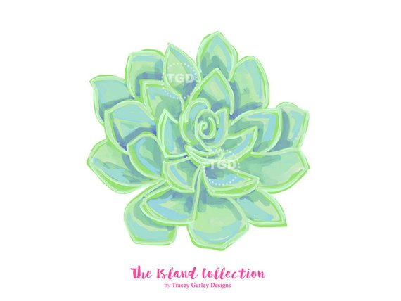 570x428 Succulent Clip Art Watercolor Succulent Clipart Cactus Etsy - Watercolor Succulent Clipart