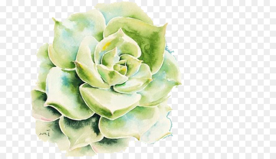 900x520 Drawing Succulent Plant Watercolor Painting Wallpaper - Watercolor Succulent Wallpaper
