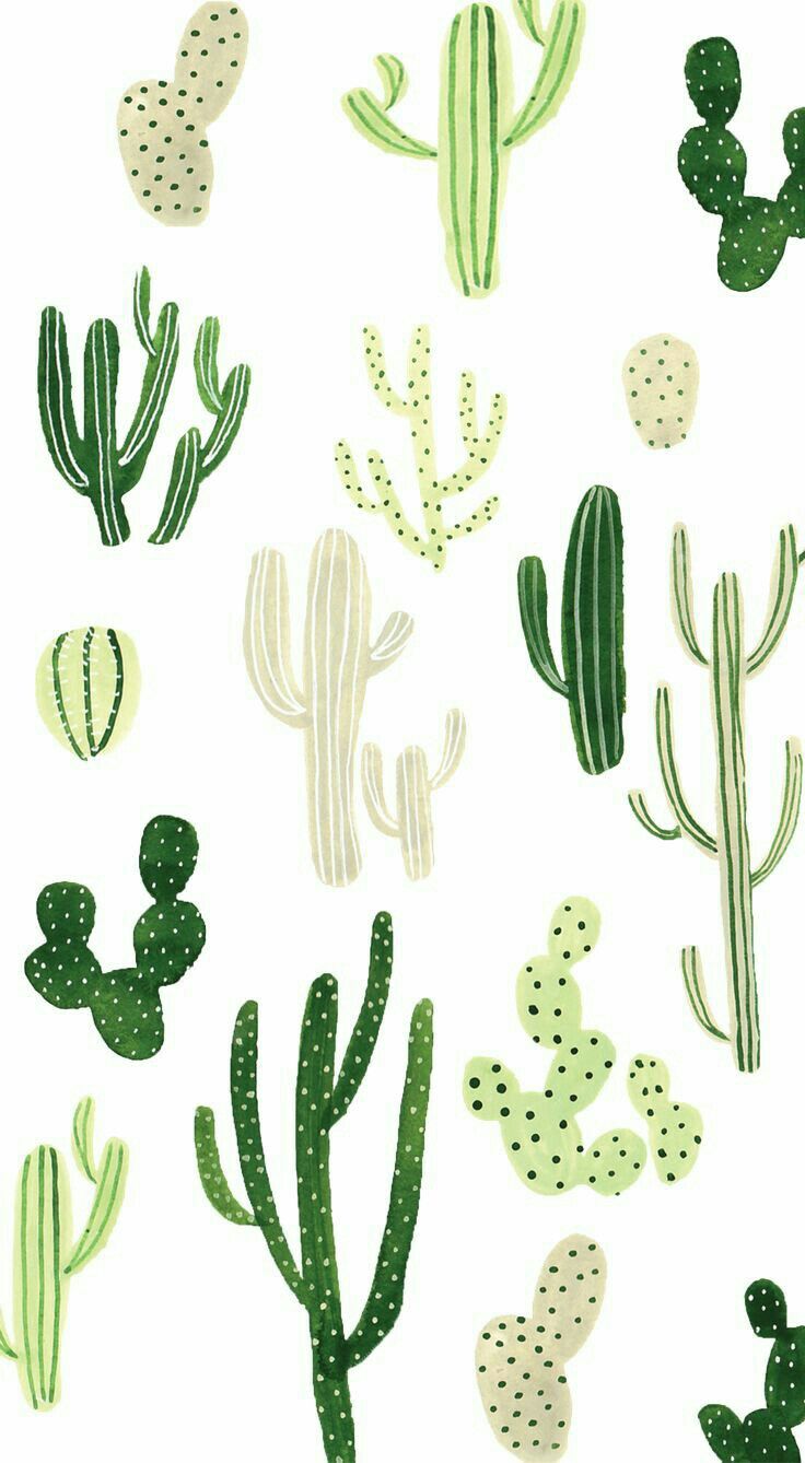 736x1338 Pin By Rachany Porras. On Tumblr Wallpaper, Cacti - Watercolor Succulent Wallpaper