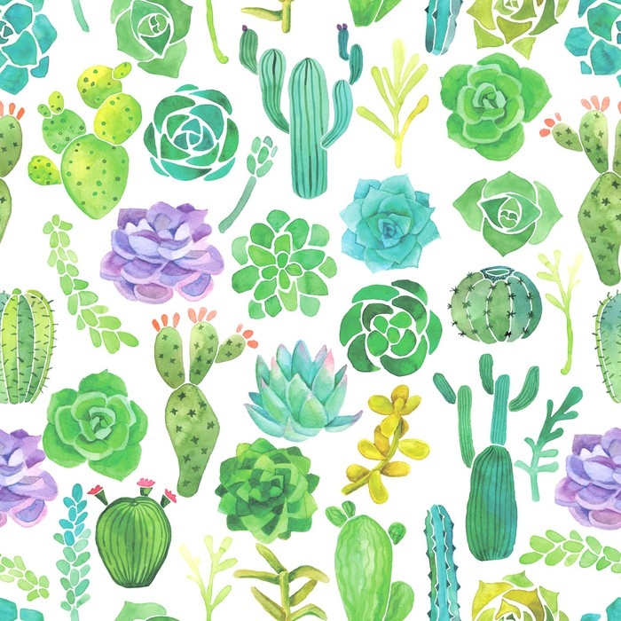 700x700 Watercolor Cactus And Succulent Seamless Pattern Wall Mural - Watercolor Succulent Wallpaper