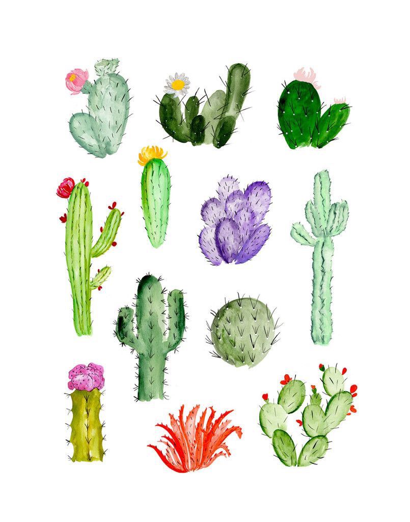 805x1024 Cacti Wallpaper Succulent Themed Week Cacti - Watercolor Succulent Wallpaper